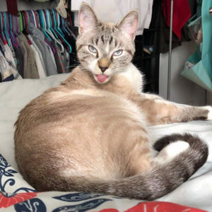 Meet your Posher, Brianna